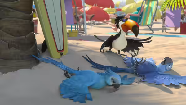 A toucan stands above two chained blue macaws lying on a sandy beach