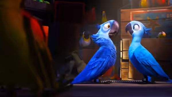 Two blue macaws chained together stand in a cluttered room with other birds