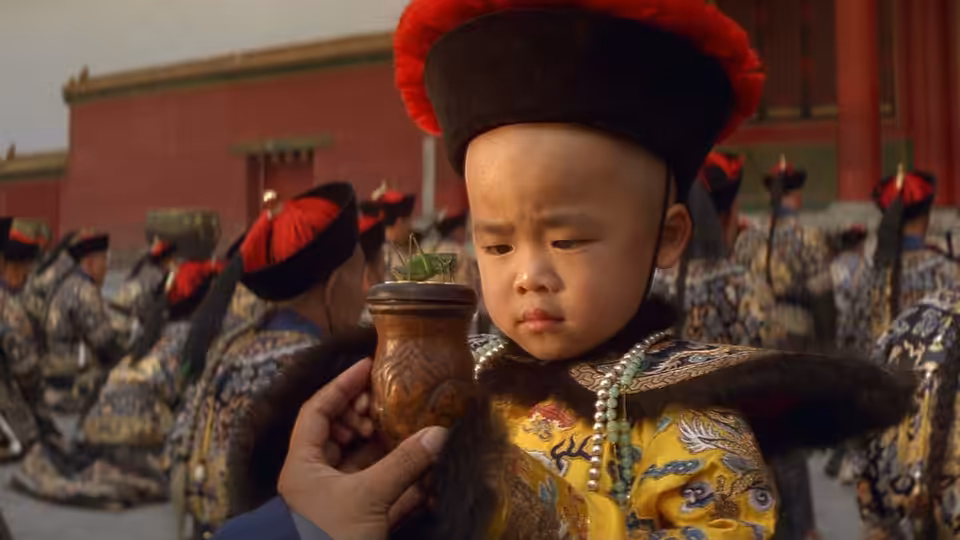 Young boy in yellow imperial robe examines a small plant in a vase held before him