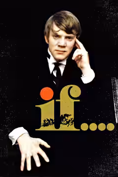 if.... poster 2