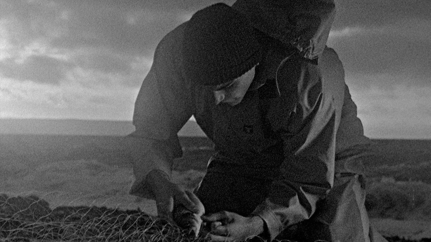Bait, still 2