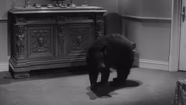 A bear walks across the floor beside an ornate sideboard