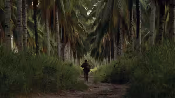 A soldier walking along a dirt path through a palm grove