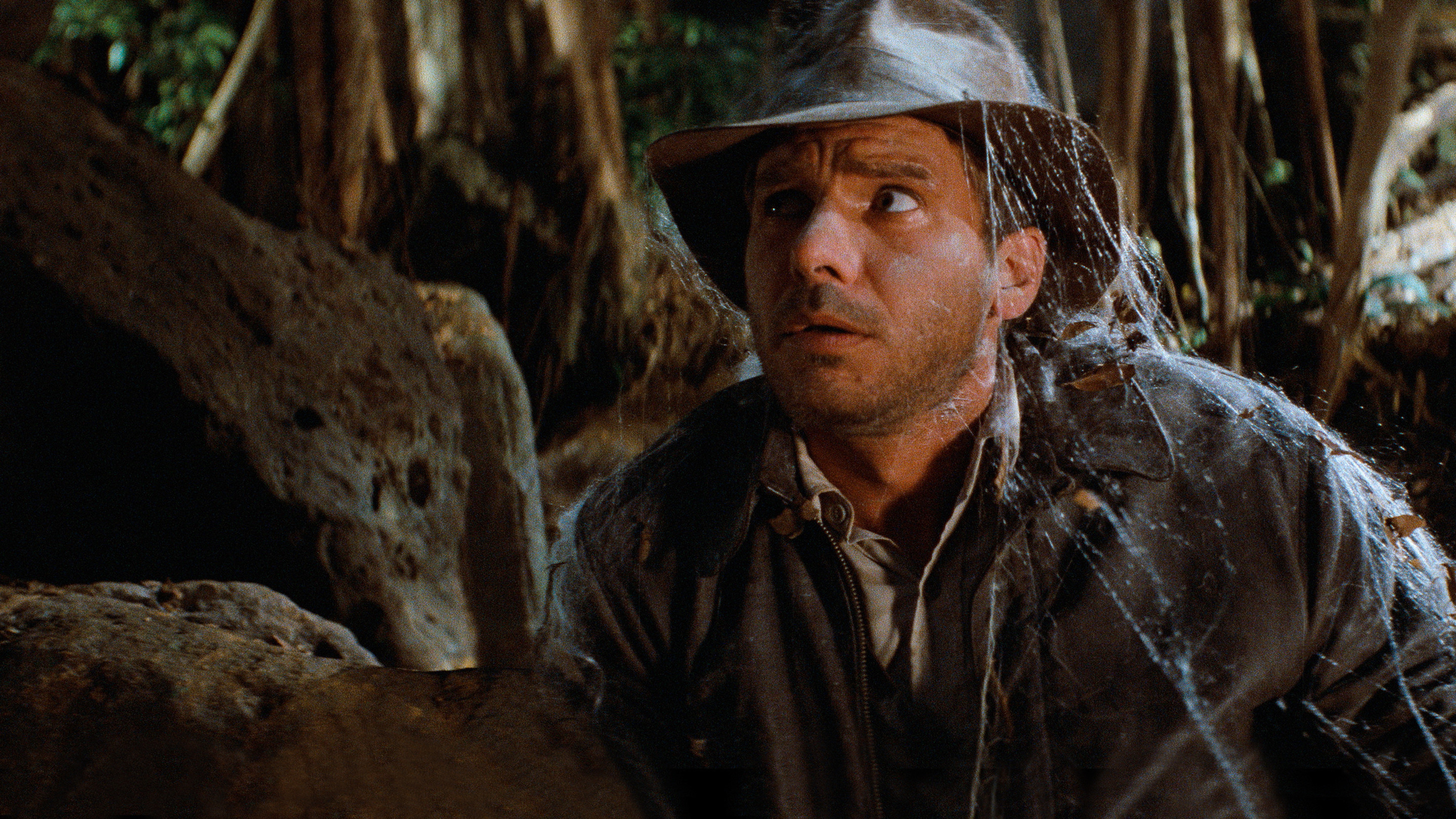 Raiders of the Lost Ark, still 4