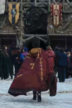 Harry Potter poster 3