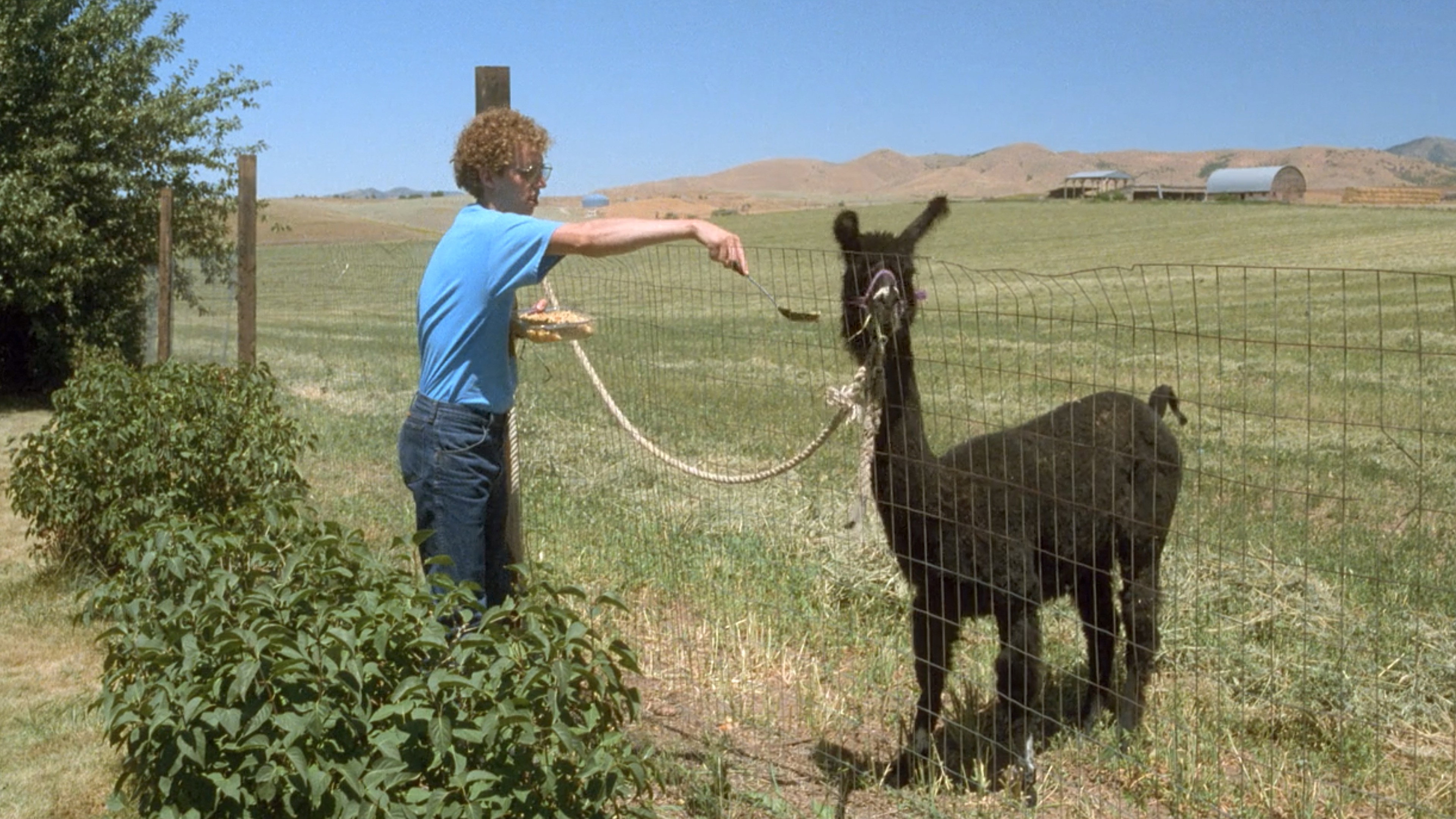 Napoleon Dynamite, still 5