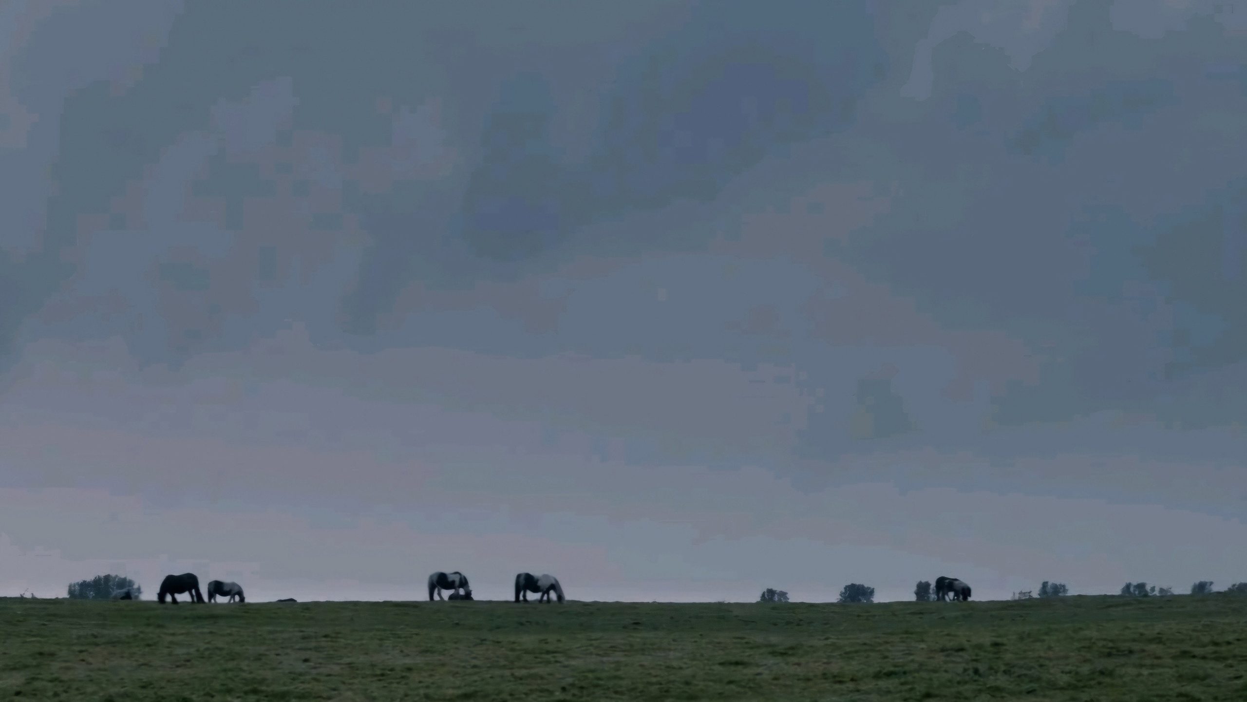 The Selfish Giant, still 6