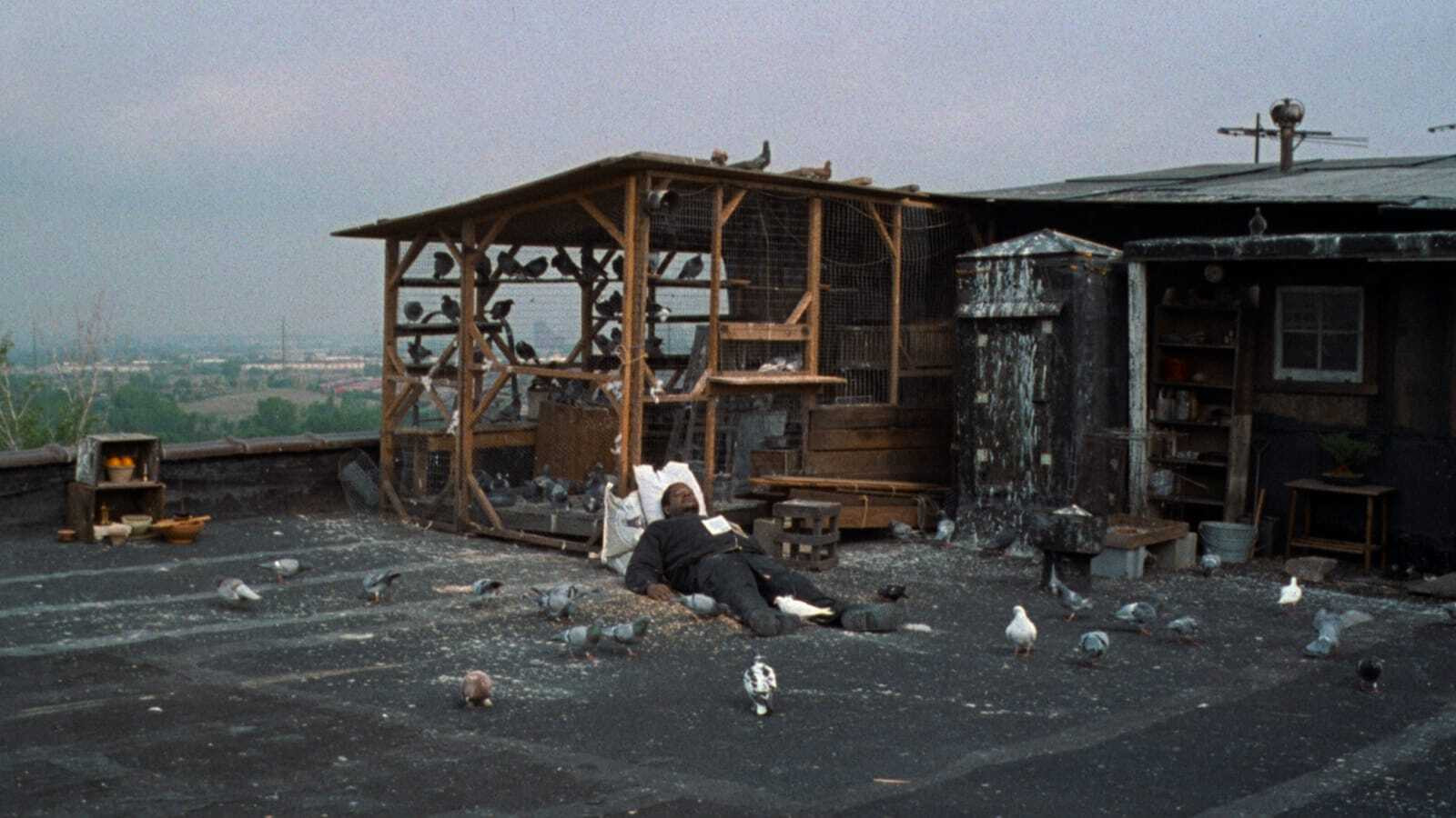 Ghost Dog: The Way of the Samurai, still 3