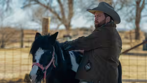 A bearded cowboy holds a black horse in a fenced paddock