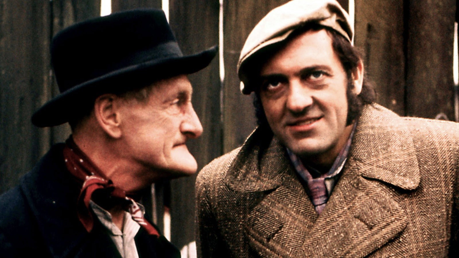 Steptoe and Son, still 4