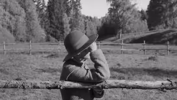 A hat-wearing figure peers through binoculars over a wooden fence