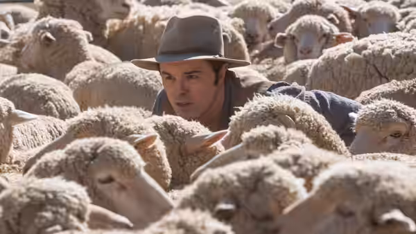 Albert stands surrounded by a flock of sheep