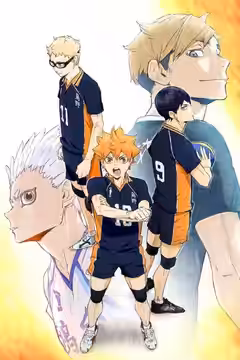 Haikyu!! poster 4
