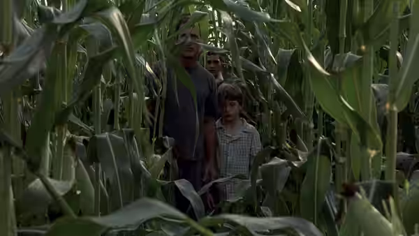 Graham Hess and Morgan move through a dense cornfield