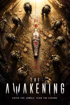 The Awakening poster 1