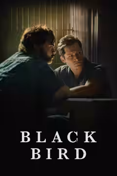 Black Bird poster 1