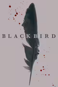 Black Bird poster 3