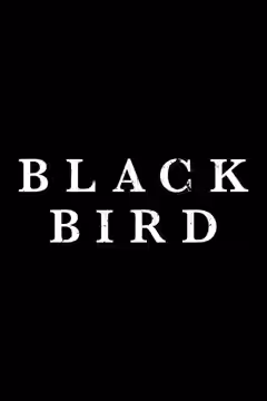 Black Bird poster 4