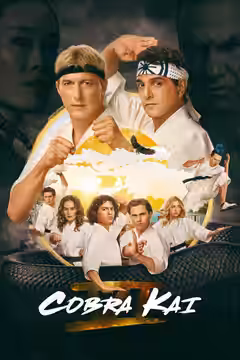 Cobra Kai poster 3
