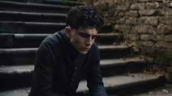 Hal (Timothée Chalamet) sits hunched on stone steps beside a rough stone wall