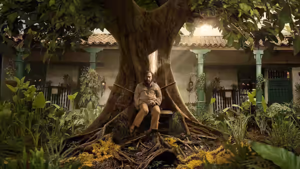 A man sits beneath a massive tree in a tropical courtyard