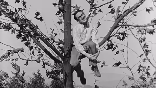 Harold Hickory (Harold Lloyd) perches among the branches of a tree