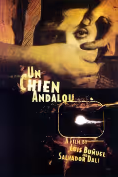 Un Chien Andalou poster