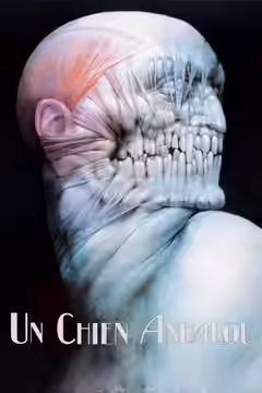 Un Chien Andalou poster 2