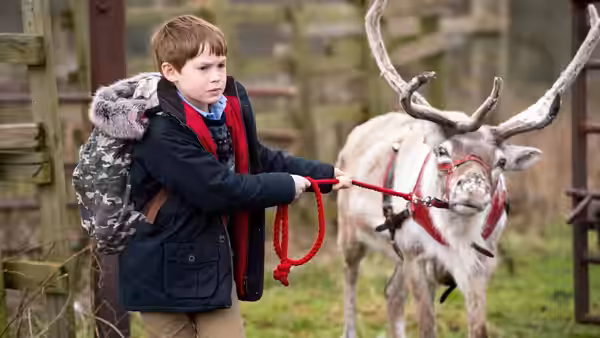 Tom (Kit Connor) holds a reindeer's lead in a stable
