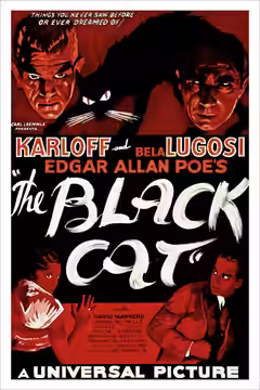 The Black Cat poster 3