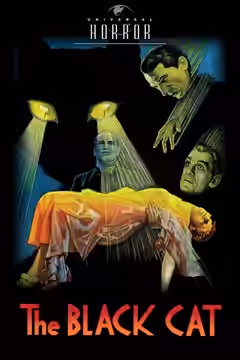 The Black Cat poster 4