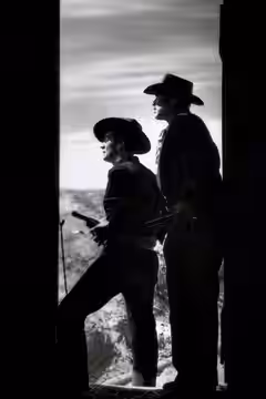 My Darling Clementine poster 6