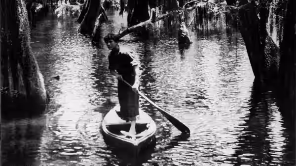 A boy stands in a small boat, poling through a cypress swamp