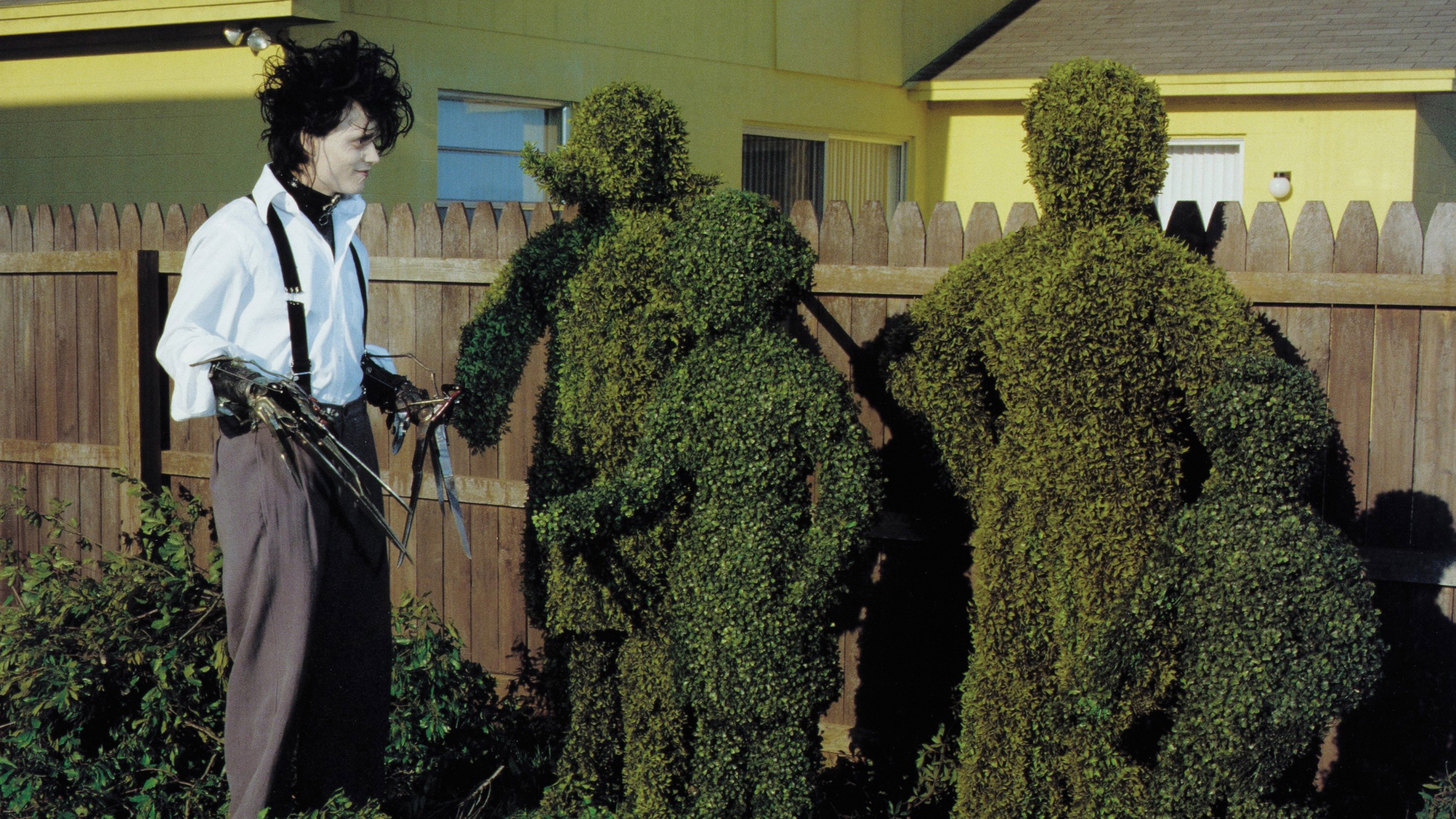 Edward Scissorhands, still 3