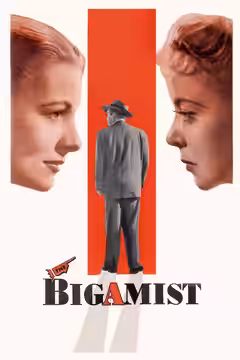 The Bigamist poster