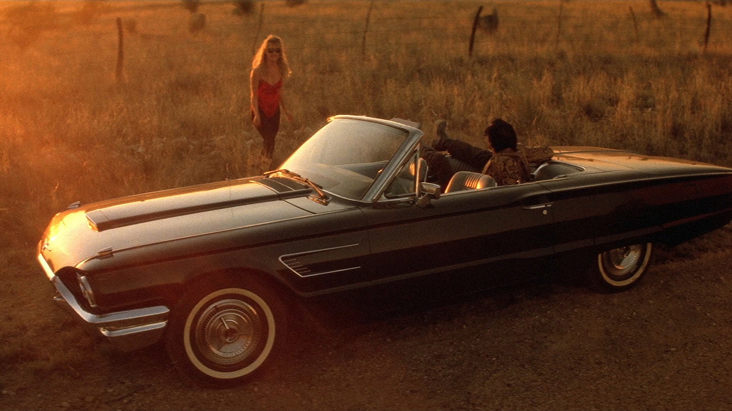 Wild at Heart, still 4