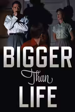 Bigger Than Life poster 4
