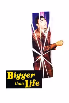 Bigger Than Life poster