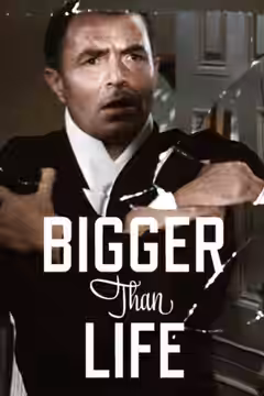 Bigger Than Life poster 3