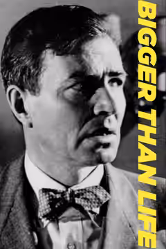 Bigger Than Life poster 2