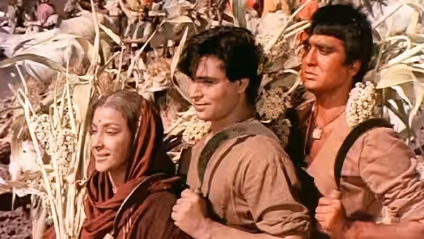 Three young villagers stand among tall crops