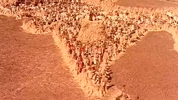 Villagers walk along a narrow path between broad fields