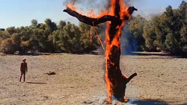 A lone cowboy watches a tree burn in an open clearing