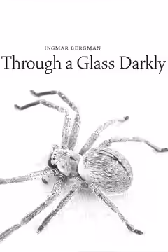 Through a Glass Darkly poster 5
