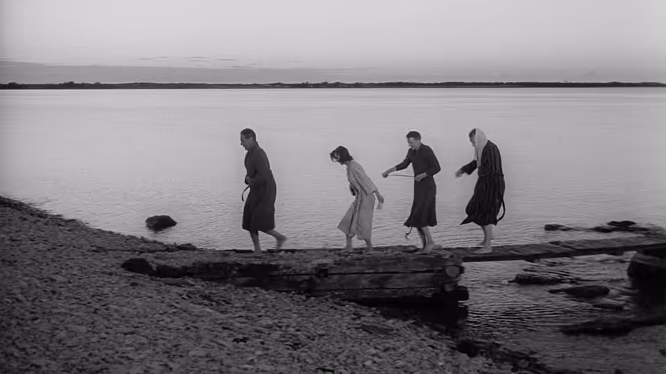 Four people walk across a rocky shoreline beside the sea