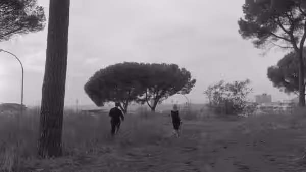 A man and a woman walk separately across an open park