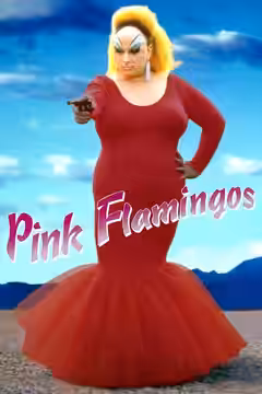 Pink Flamingos poster