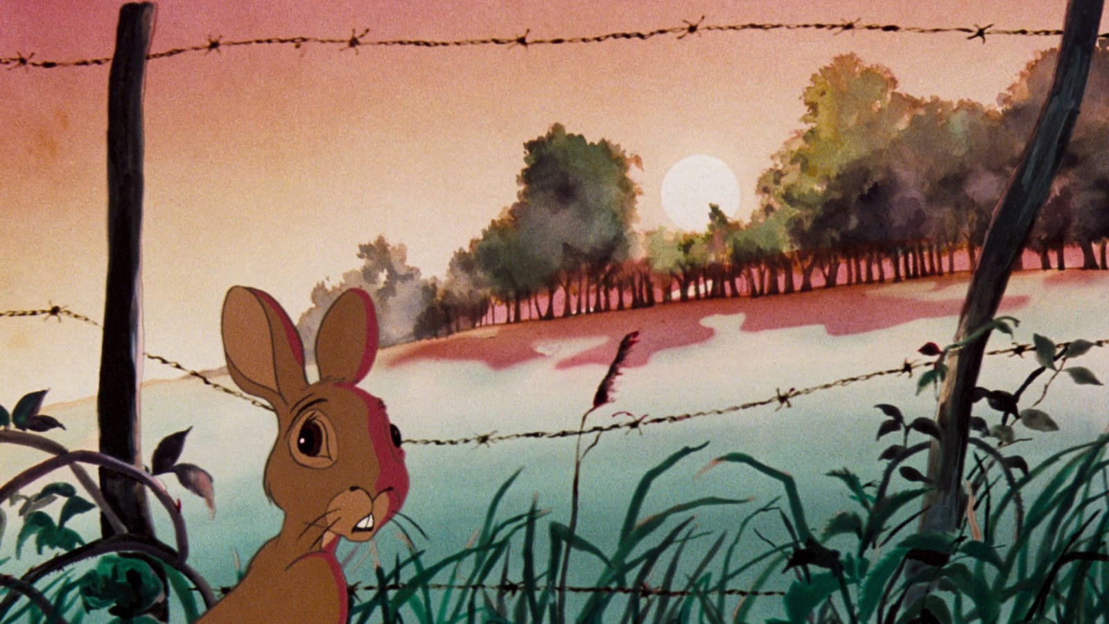 Watership Down, still 2