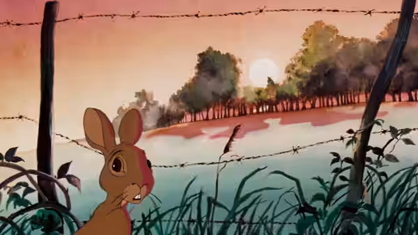Rabbit looks back from behind barbed wire at sunset over misty fields