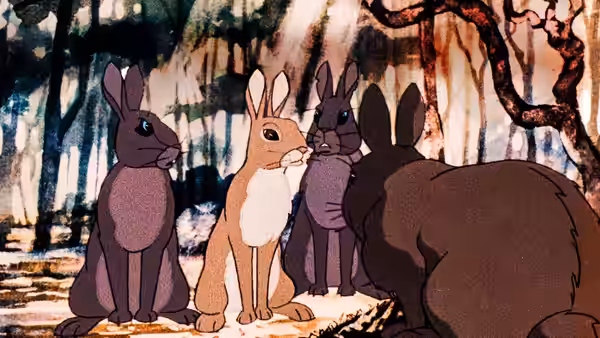 Group of rabbits sit together on a path in a forest clearing